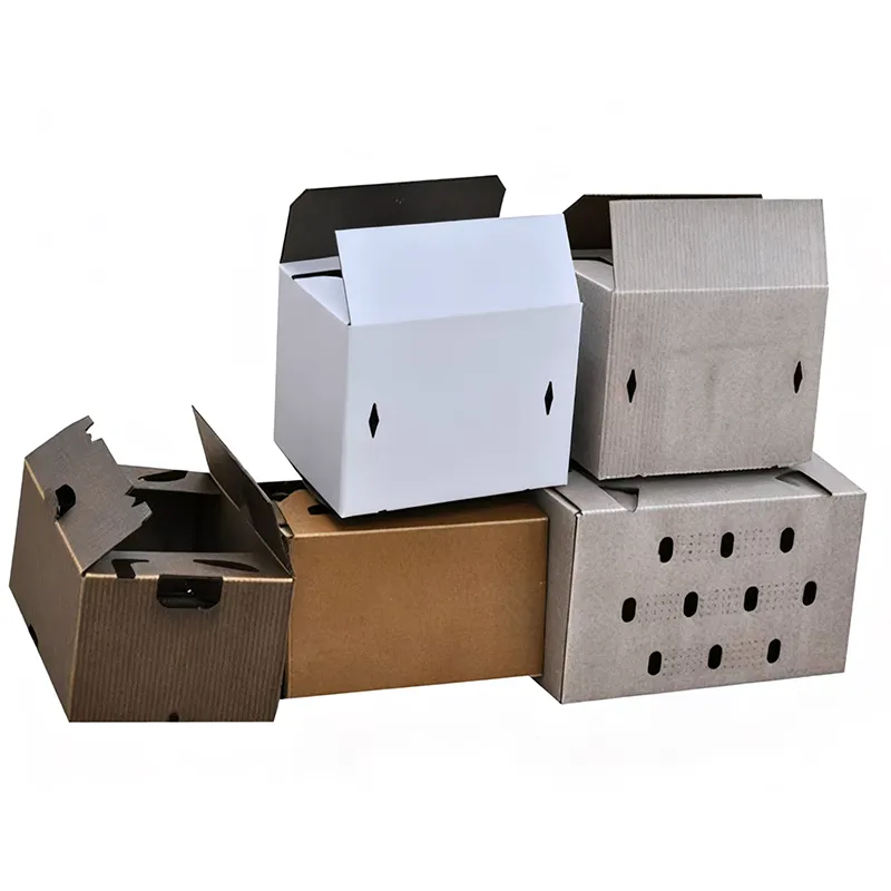 Waterproof Wax Coated Box